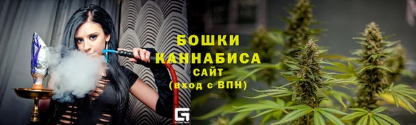 ПСИЛОЦИБИНОВЫЕ ГРИБЫ Абаза
