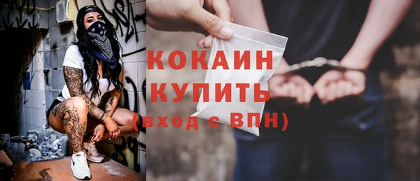 ПСИЛОЦИБИНОВЫЕ ГРИБЫ Абаза