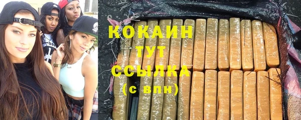 ПСИЛОЦИБИНОВЫЕ ГРИБЫ Абаза