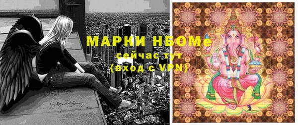 ПСИЛОЦИБИНОВЫЕ ГРИБЫ Абаза