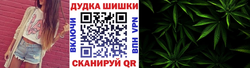Бошки Шишки ГИДРОПОН Шахты